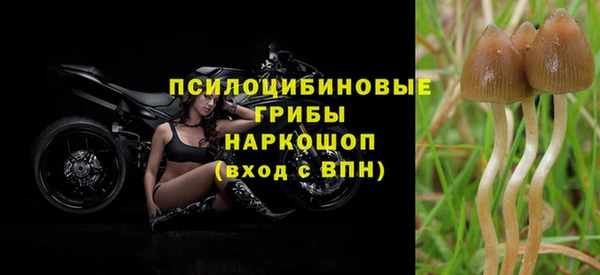 ALPHA-PVP Красноперекопск