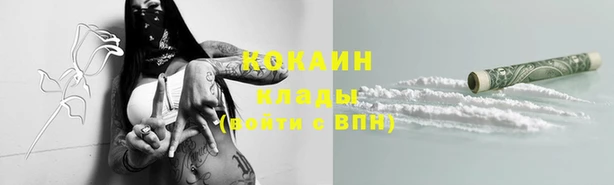 PSILOCYBIN Краснотурьинск