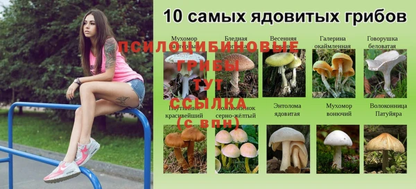 марки nbome Краснослободск